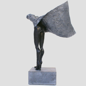 Aan de Zwier