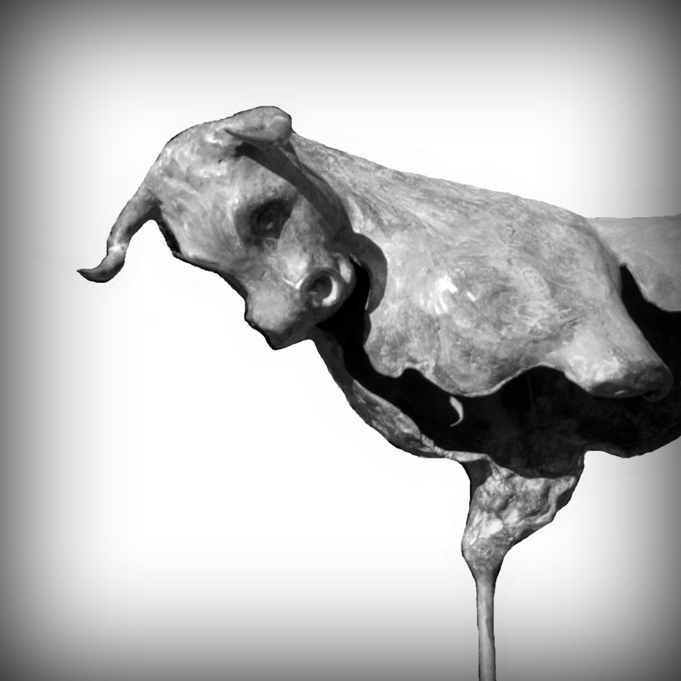 Stier Forza tuinbeeld