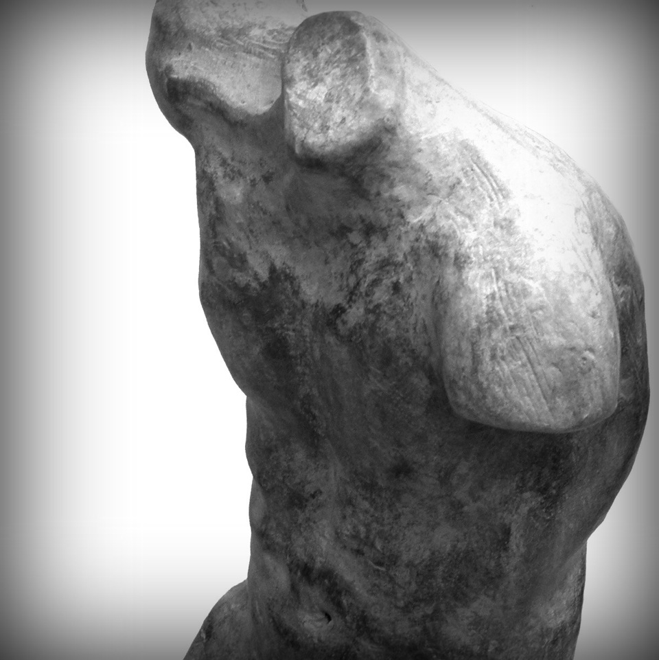 Torso Uomo